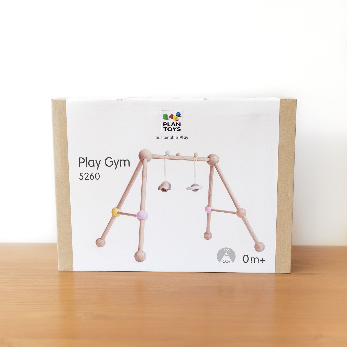 Pastel Play Gym