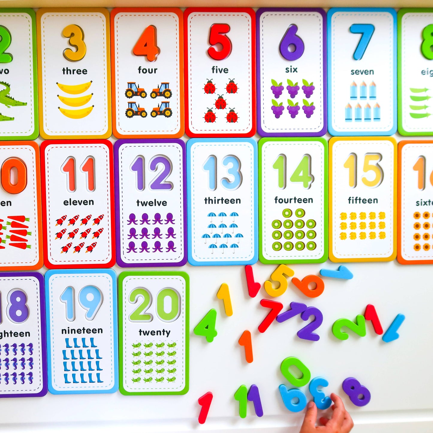 Flashcards and 123 Magnetic Numbers