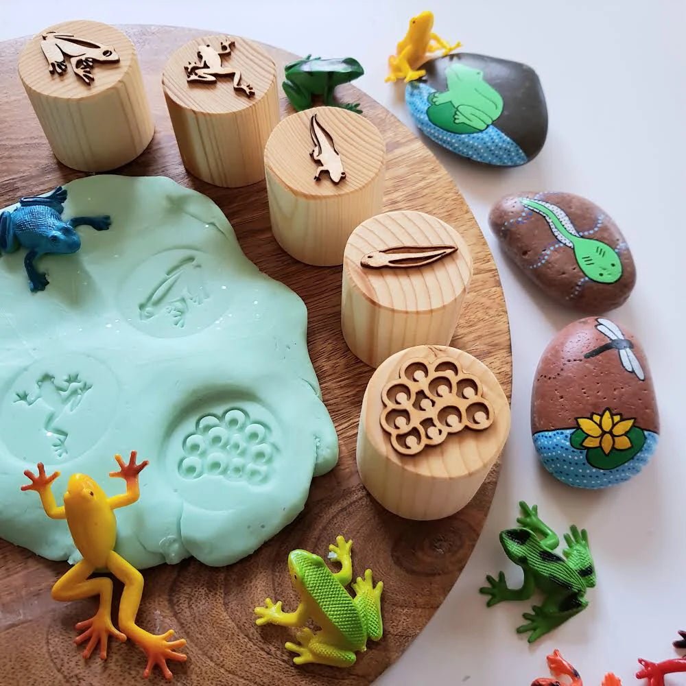 Wooden Frog Life Cycle Stamps